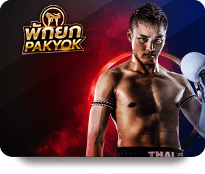 Best KUWIN Top Bet Games for New Players